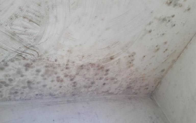 Bathroom Mould And Mildew How To Stop It Superstone Radiators